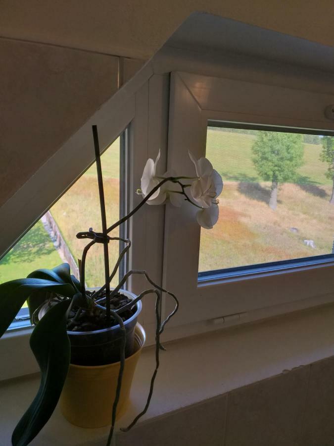 U Pohody Hotel Kovarska Bagian luar foto